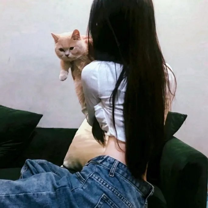 爱情潜到宝